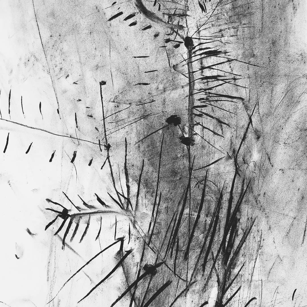 Furu Print - Peytil