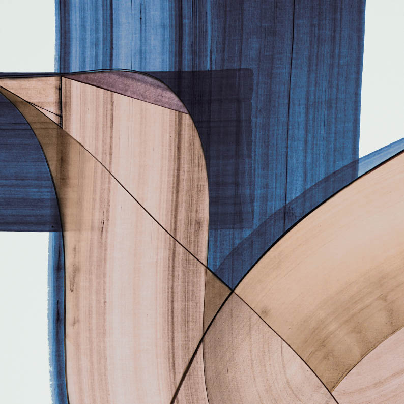 'Lucky Bird' Limited Edition of 200 - Peytil