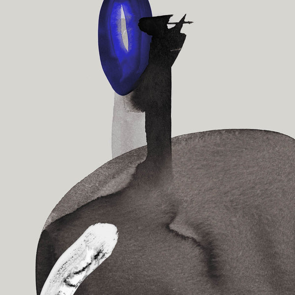 Albatross
