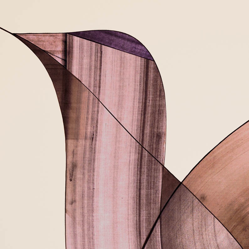 'Beach Bird' Limited Edition of 200 - Peytil