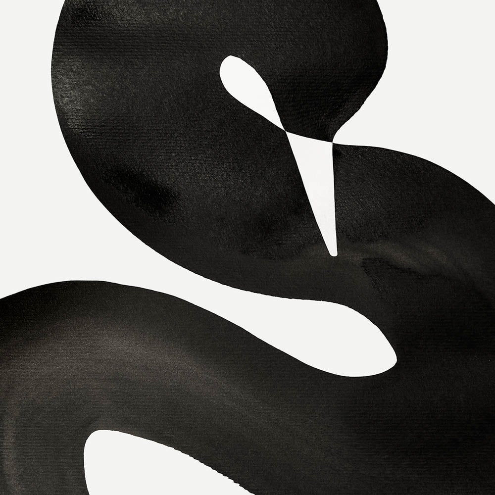Black Swan Print - Peytil