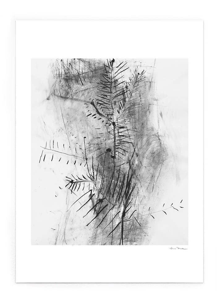 Furu Print - Peytil