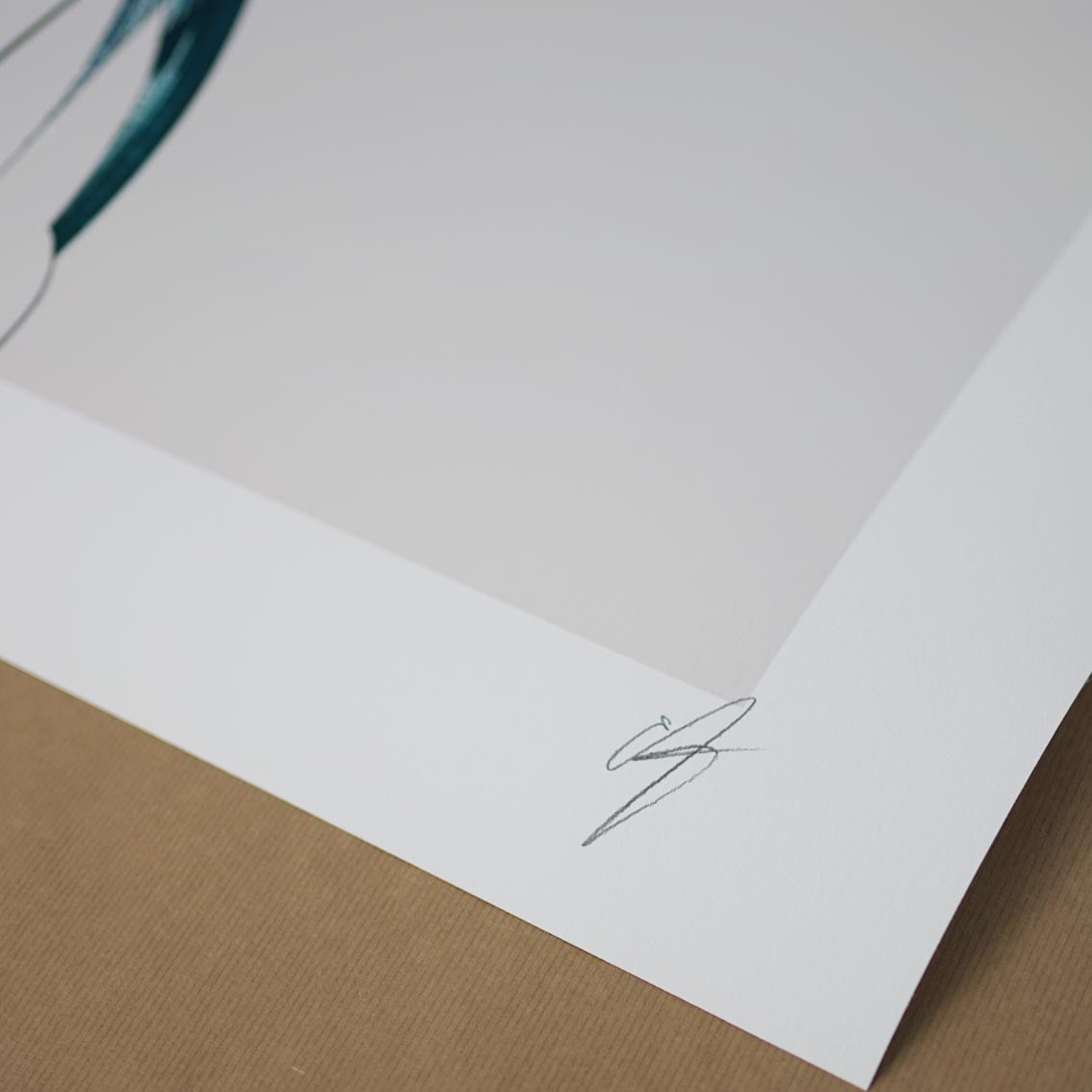 'Guscio Superiore' Limited Edition of 500 - Peytil