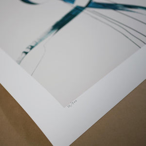 'Guscio Superiore' Limited Edition of 500 - Peytil