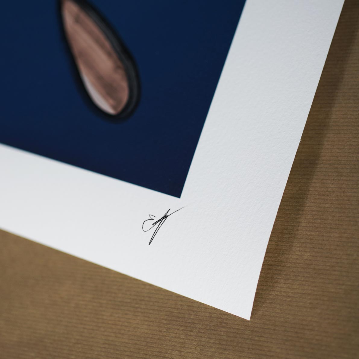 'Hydra' Limited Edition of 500 - Peytil