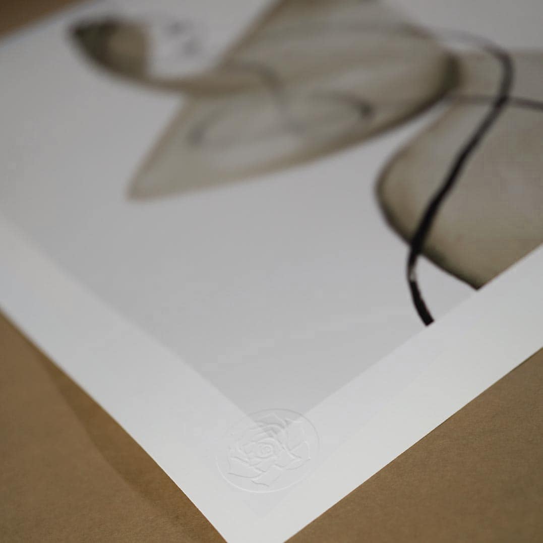 Lykke Print - Peytil