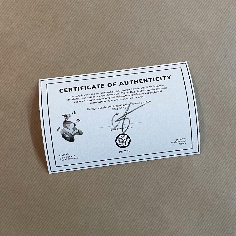 'Shibuya' Limited Edition of 500 - Peytil