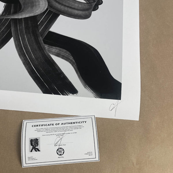 'Silver Lining' Limited Edition of 500